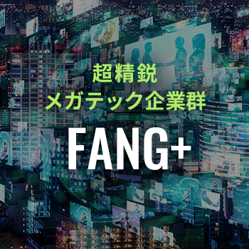 FANG+2倍ブルとiFreeレバレッジ FANG+の違いは？ファングプラスレバレッジの注意点を解説